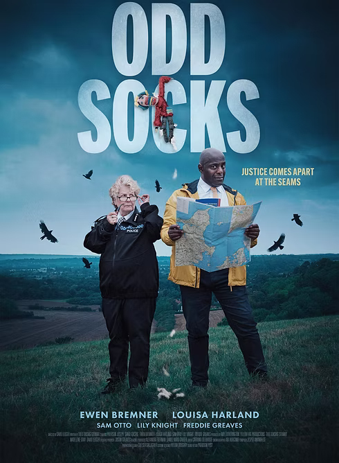 Odd Socks Poster